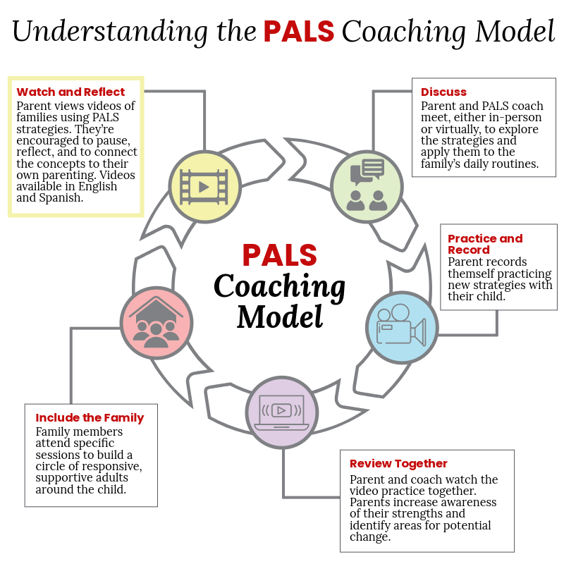 Infographic explaining the PALS Coaching Model with five steps: Watch and Reflect, Discuss, Practice and Record, Review Together, and Include the Family. Each step outlines how parents engage with coaches and family to apply parenting strategies.